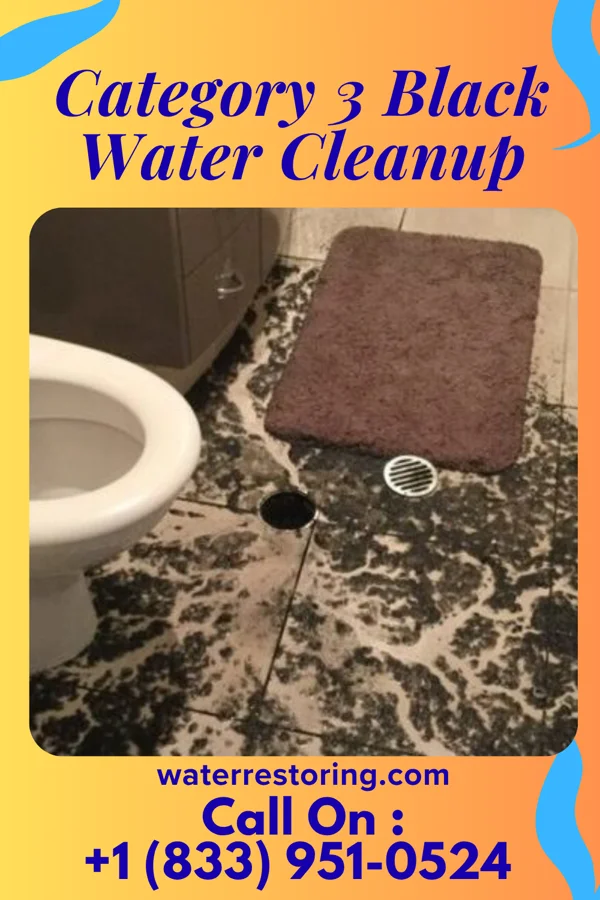 Category 3 Black Water Cleanup in Bethel, MO
